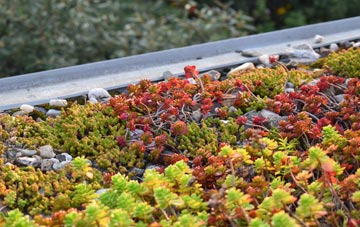 the cost of Burnham Thorpe green roof installation