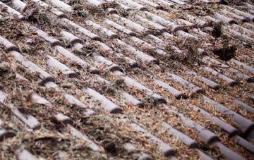 Burnham Thorpe roof cleaning companies